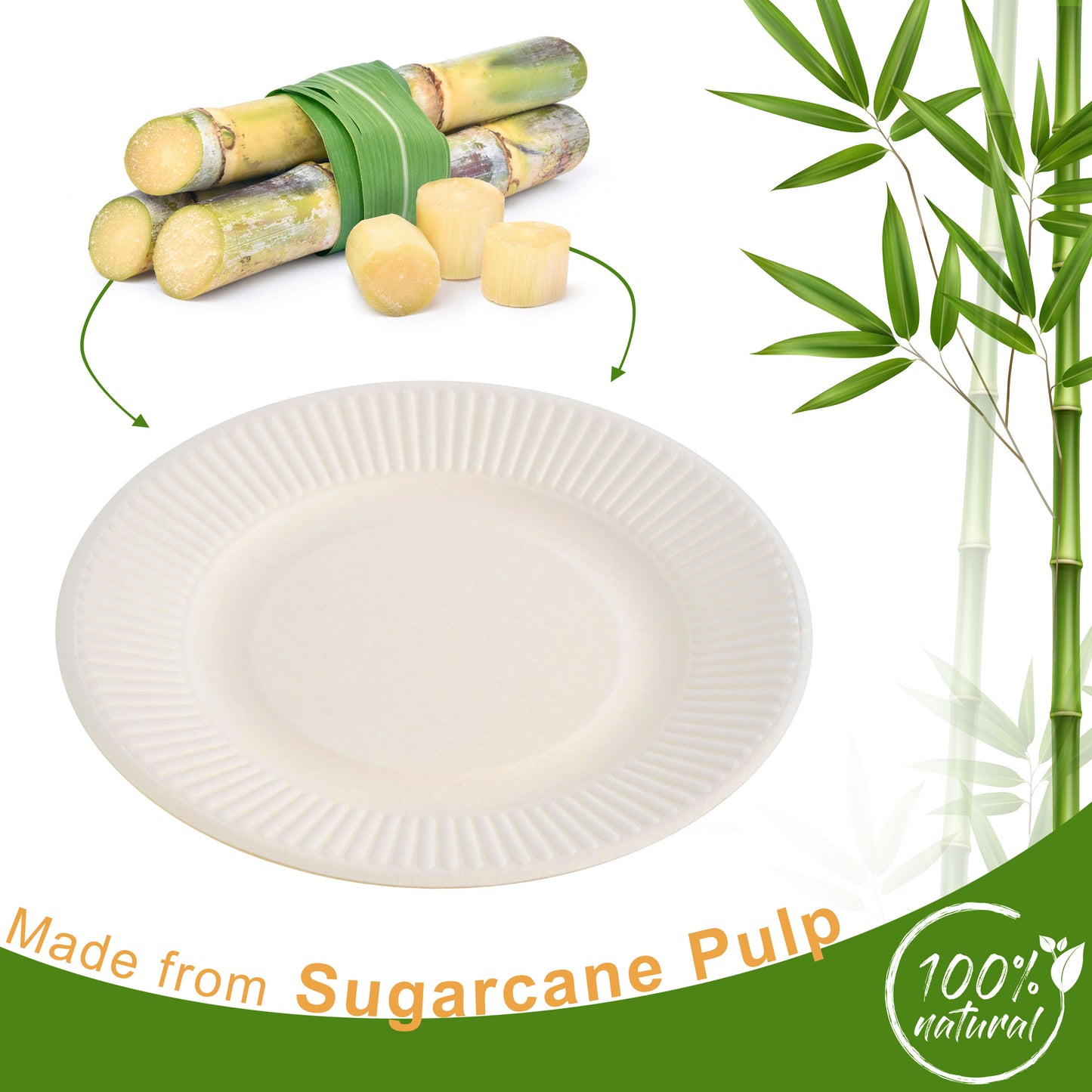 50 Pack White 8-Inch Striped Round Plates - Sugarcane Bagasse