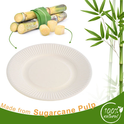 50 Pack White 8-Inch Striped Round Plates - Sugarcane Bagasse